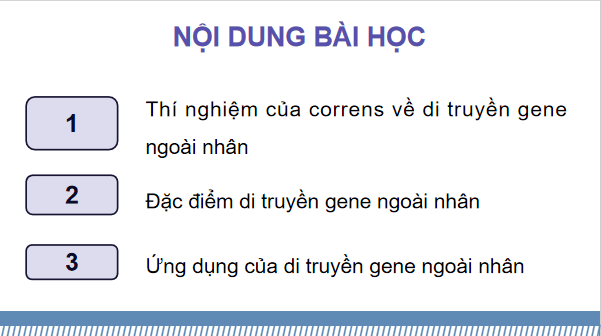 Giáo án điện tử Sinh 12 Kết nối tri thức Bài 15: Di truyền gene ngoài nhân | PPT Sinh học 12