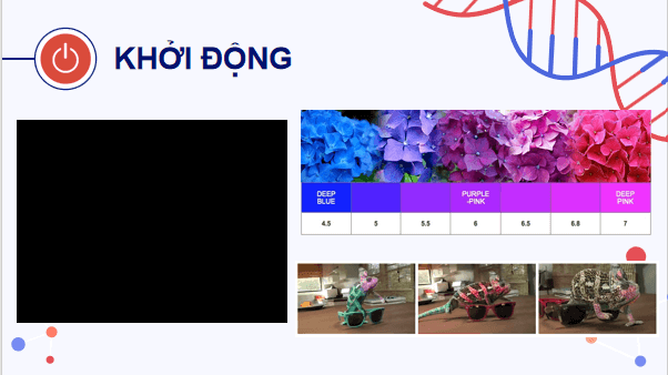 Giáo án điện tử Sinh 12 Kết nối tri thức Bài 16: Tương tác giữa kiểu gene với môi trường và thành tựu chọn giống | PPT Sinh học 12