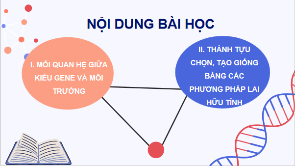 Giáo án điện tử Sinh 12 Kết nối tri thức Bài 16: Tương tác giữa kiểu gene với môi trường và thành tựu chọn giống | PPT Sinh học 12