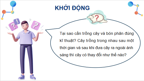 Giáo án điện tử Sinh 12 Kết nối tri thức Bài 17: Thực hành: Thí nghiệm về thường biến ở cây trồng | PPT Sinh học 12