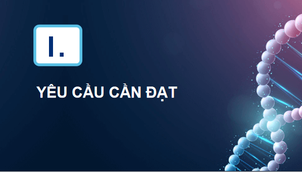 Giáo án điện tử Sinh 12 Kết nối tri thức Bài 17: Thực hành: Thí nghiệm về thường biến ở cây trồng | PPT Sinh học 12