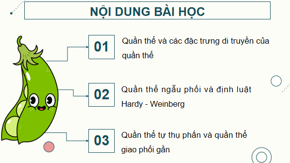 Giáo án điện tử Sinh 12 Kết nối tri thức Bài 18: Di truyền quần thể | PPT Sinh học 12