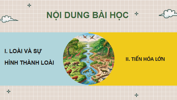 Giáo án điện tử Sinh 12 Cánh diều Bài 18: Thuyết tiến hóa tổng hợp hiện đại (Phần 2) | PPT Sinh học 12