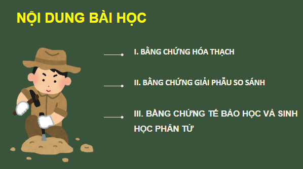 Giáo án điện tử Sinh 12 Kết nối tri thức Bài 19: Các bằng chứng tiến hoá | PPT Sinh học 12