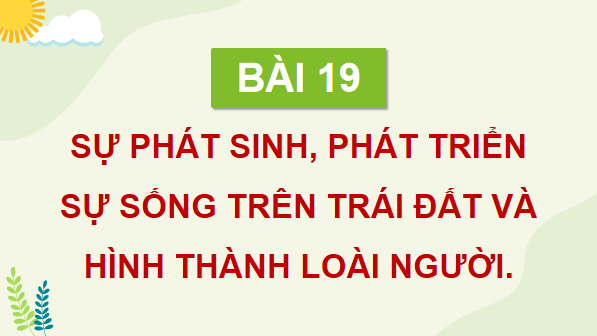 Giáo án điện tử Sinh 12 Cánh diều Bài 19: Sự phát sinh, phát triển sự sống trên Trái Đất và hình thành loài người | PPT Sinh học 12