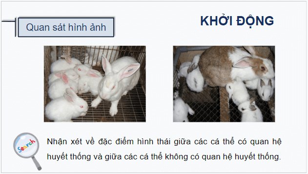 Giáo án điện tử Sinh 12 Kết nối tri thức Bài 2: Gene, quá trình truyền đạt thông tin di truyền và hệ gene | PPT Sinh học 12