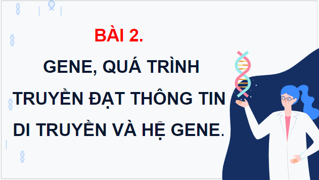 Giáo án điện tử Sinh 12 Kết nối tri thức Bài 2: Gene, quá trình truyền đạt thông tin di truyền và hệ gene | PPT Sinh học 12