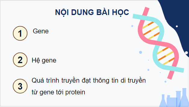 Giáo án điện tử Sinh 12 Kết nối tri thức Bài 2: Gene, quá trình truyền đạt thông tin di truyền và hệ gene | PPT Sinh học 12