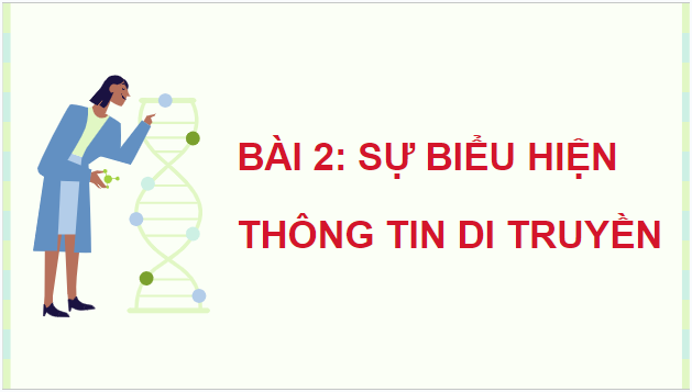 Giáo án điện tử Sinh 12 Cánh diều Bài 2: Sự biểu hiện thông tin di truyền | PPT Sinh học 12