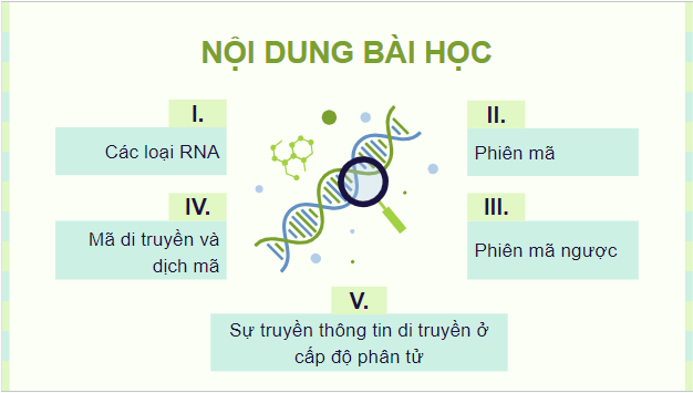 Giáo án điện tử Sinh 12 Cánh diều Bài 2: Sự biểu hiện thông tin di truyền | PPT Sinh học 12