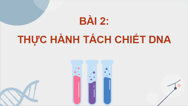 Giáo án điện tử Sinh 12 Chân trời sáng tạo Bài 2: Thực hành: Tách chiết DNA | PPT Sinh học 12