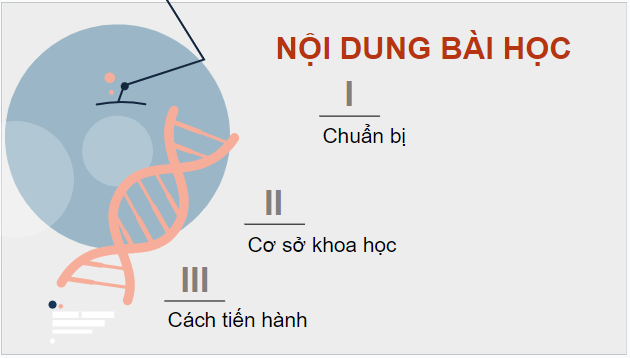 Giáo án điện tử Sinh 12 Chân trời sáng tạo Bài 2: Thực hành: Tách chiết DNA | PPT Sinh học 12