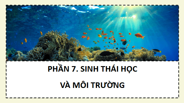 Giáo án điện tử Sinh 12 Cánh diều Bài 20: Môi trường sống và các nhân tố sinh thái | PPT Sinh học 12