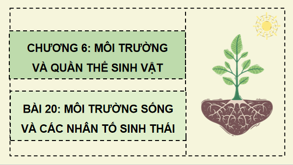 Giáo án điện tử Sinh 12 Chân trời sáng tạo Bài 20: Môi trường và các nhân tố sinh thái | PPT Sinh học 12