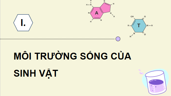 Giáo án điện tử Sinh 12 Chân trời sáng tạo Bài 20: Môi trường và các nhân tố sinh thái | PPT Sinh học 12