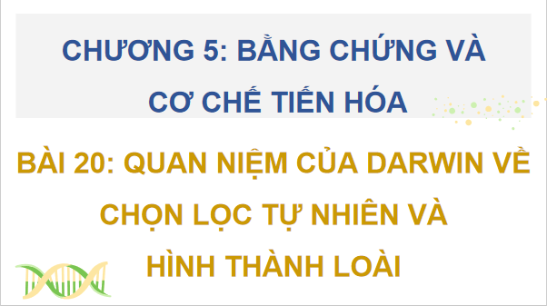 Giáo án điện tử Sinh 12 Kết nối tri thức Bài 20: Quan niệm của Darwin về chọn lọc tự nhiên và hình thành loài | PPT Sinh học 12
