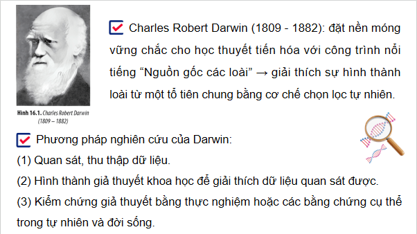 Giáo án điện tử Sinh 12 Kết nối tri thức Bài 20: Quan niệm của Darwin về chọn lọc tự nhiên và hình thành loài | PPT Sinh học 12