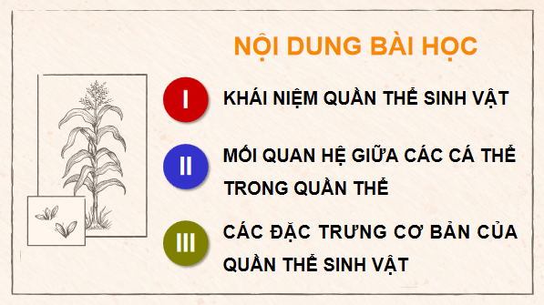 Giáo án điện tử Sinh 12 Chân trời sáng tạo Bài 21: Quần thể sinh vật | PPT Sinh học 12