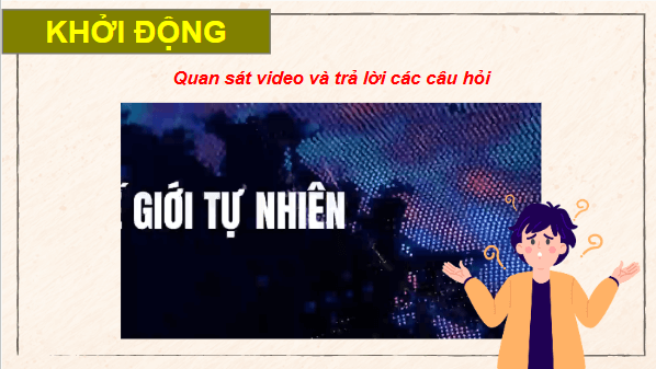 Giáo án điện tử Sinh 12 Cánh diều Bài 21: Sinh thái học quần thể | PPT Sinh học 12