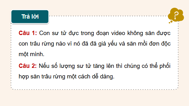 Giáo án điện tử Sinh 12 Cánh diều Bài 21: Sinh thái học quần thể | PPT Sinh học 12