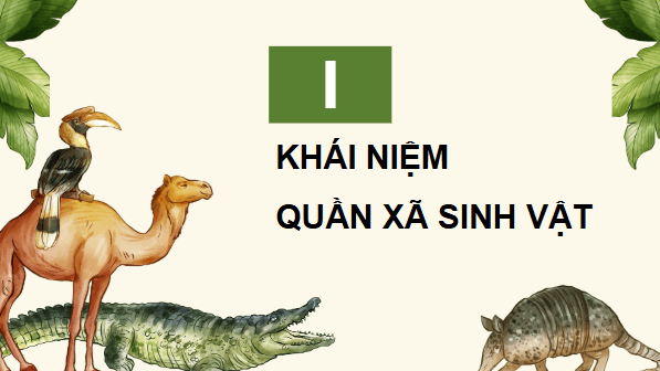 Giáo án điện tử Sinh 12 Cánh diều Bài 22: Sinh thái học quần xã | PPT Sinh học 12