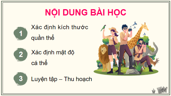 Giáo án điện tử Sinh 12 Chân trời sáng tạo Bài 22: Thực hành: Xác định một số đặc trưng cơ bản của quần thể sinh vật | PPT Sinh học 12