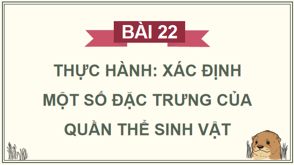 Giáo án điện tử Sinh 12 Chân trời sáng tạo Bài 22: Thực hành: Xác định một số đặc trưng cơ bản của quần thể sinh vật | PPT Sinh học 12