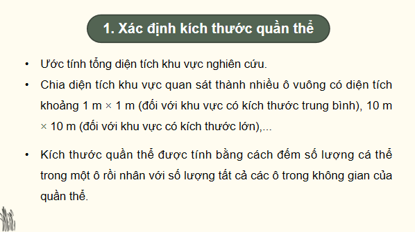 Giáo án điện tử Sinh 12 Chân trời sáng tạo Bài 22: Thực hành: Xác định một số đặc trưng cơ bản của quần thể sinh vật | PPT Sinh học 12