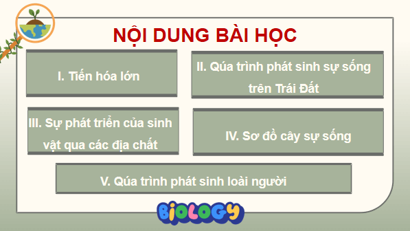 Giáo án điện tử Sinh 12 Kết nối tri thức Bài 22: Tiến hoá lớn và quá trình phát sinh chủng loại | PPT Sinh học 12