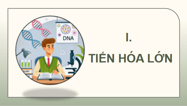 Giáo án điện tử Sinh 12 Kết nối tri thức Bài 22: Tiến hoá lớn và quá trình phát sinh chủng loại | PPT Sinh học 12
