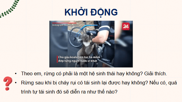Giáo án điện tử Sinh 12 Cánh diều Bài 23: Hệ sinh thái | PPT Sinh học 12