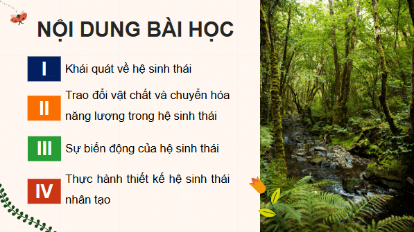 Giáo án điện tử Sinh 12 Cánh diều Bài 23: Hệ sinh thái | PPT Sinh học 12