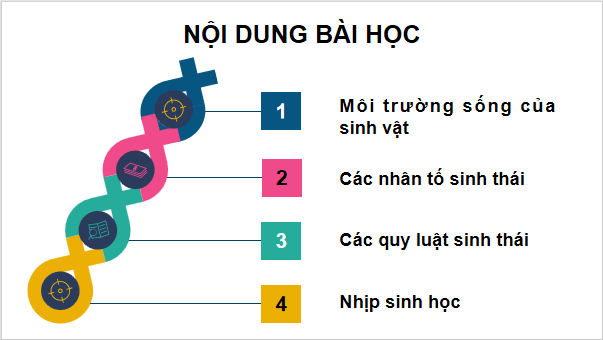 Giáo án điện tử Sinh 12 Kết nối tri thức Bài 23: Môi trường và các nhân tố sinh thái | PPT Sinh học 12