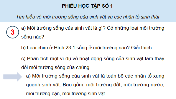 Giáo án điện tử Sinh 12 Kết nối tri thức Bài 23: Môi trường và các nhân tố sinh thái | PPT Sinh học 12