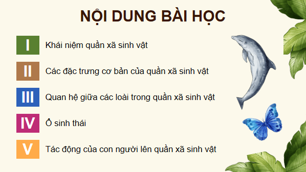 Giáo án điện tử Sinh 12 Chân trời sáng tạo Bài 23: Quần xã sinh vật | PPT Sinh học 12