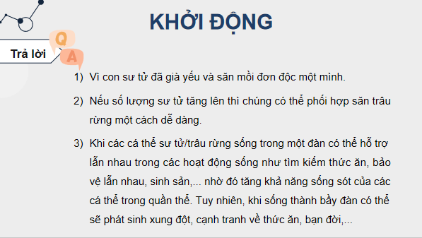 Giáo án điện tử Sinh 12 Kết nối tri thức Bài 24: Sinh thái học quần thể | PPT Sinh học 12