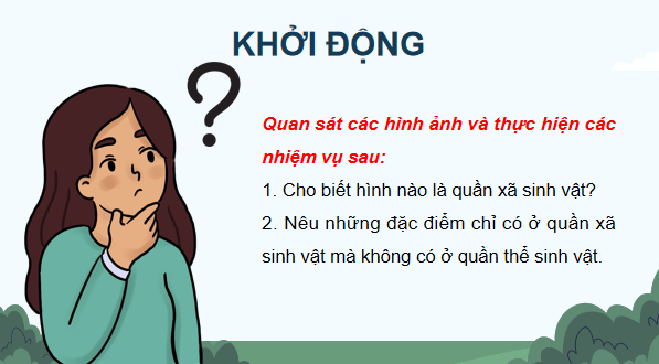 Giáo án điện tử Sinh 12 Chân trời sáng tạo Bài 24: Thực hành: Tìm hiểu một số đặc trưng cơ bản của quần xã sinh vật trong tự nhiên | PPT Sinh học 12