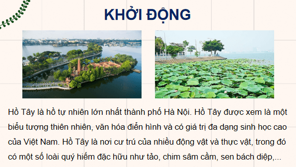 Giáo án điện tử Sinh 12 Chân trời sáng tạo Bài 25: Hệ sinh thái | PPT Sinh học 12