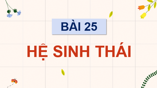Giáo án điện tử Sinh 12 Chân trời sáng tạo Bài 25: Hệ sinh thái | PPT Sinh học 12