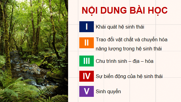 Giáo án điện tử Sinh 12 Chân trời sáng tạo Bài 25: Hệ sinh thái | PPT Sinh học 12