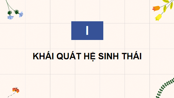 Giáo án điện tử Sinh 12 Chân trời sáng tạo Bài 25: Hệ sinh thái | PPT Sinh học 12