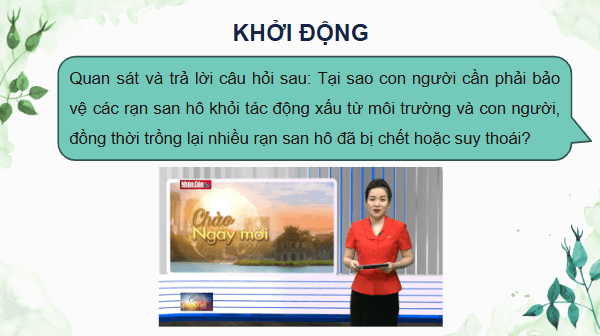 Giáo án điện tử Sinh 12 Cánh diều Bài 25: Sinh thái học phục hồi, bảo tồn | PPT Sinh học 12