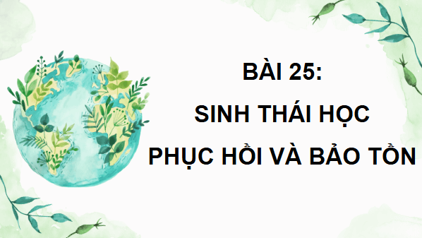 Giáo án điện tử Sinh 12 Cánh diều Bài 25: Sinh thái học phục hồi, bảo tồn | PPT Sinh học 12