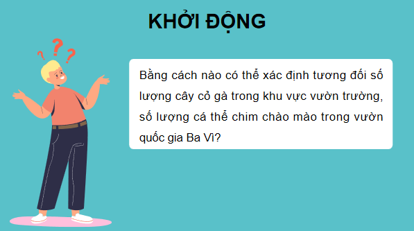 Giáo án điện tử Sinh 12 Kết nối tri thức Bài 25: Thực hành: Xác định một số đặc trưng của quần thể | PPT Sinh học 12