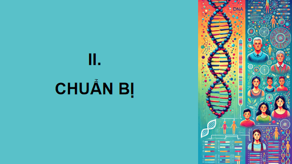 Giáo án điện tử Sinh 12 Kết nối tri thức Bài 25: Thực hành: Xác định một số đặc trưng của quần thể | PPT Sinh học 12