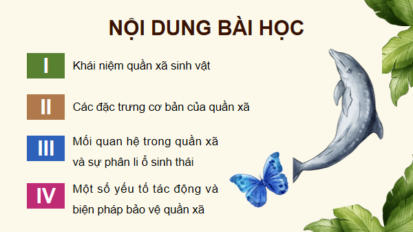 Giáo án điện tử Sinh 12 Kết nối tri thức Bài 26: Quần xã sinh vật | PPT Sinh học 12