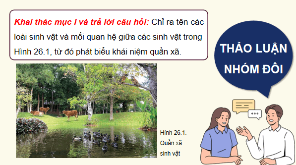 Giáo án điện tử Sinh 12 Kết nối tri thức Bài 26: Quần xã sinh vật | PPT Sinh học 12