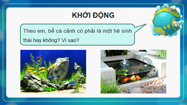 Giáo án điện tử Sinh 12 Chân trời sáng tạo Bài 26: Thực hành: Thiết kế hệ sinh thái | PPT Sinh học 12