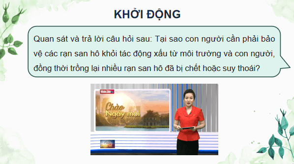 Giáo án điện tử Sinh 12 Chân trời sáng tạo Bài 27: Sinh thái học phục hồi và bảo tồn | PPT Sinh học 12