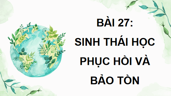 Giáo án điện tử Sinh 12 Chân trời sáng tạo Bài 27: Sinh thái học phục hồi và bảo tồn | PPT Sinh học 12